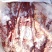 蒙古马肉，质量上好。需要提前联系！