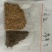 鲁冰花种子，净籽，亩用6-8斤，发芽率98%以上