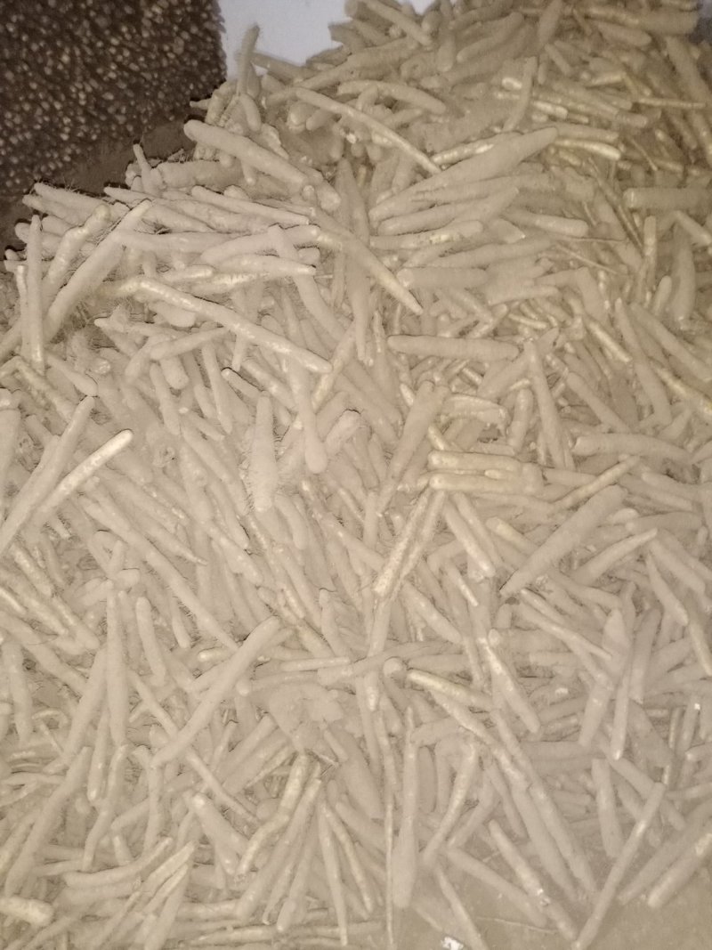 小白嘴