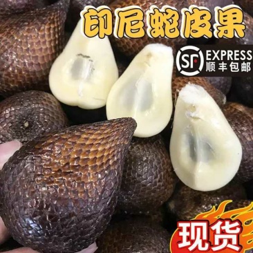 【有好货】记忆之果印尼蛇皮果稀有热带水果之一4斤重