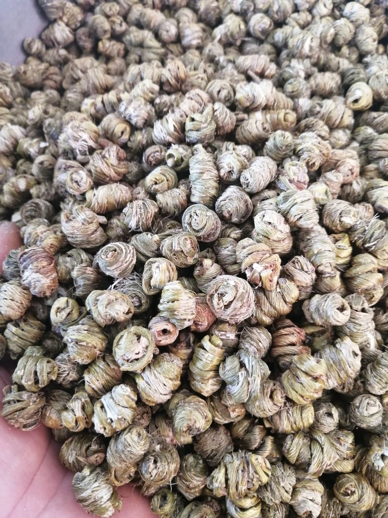 （金福堂紫皮石斛枫斗）.肉质饱满.一手货源.工厂批发