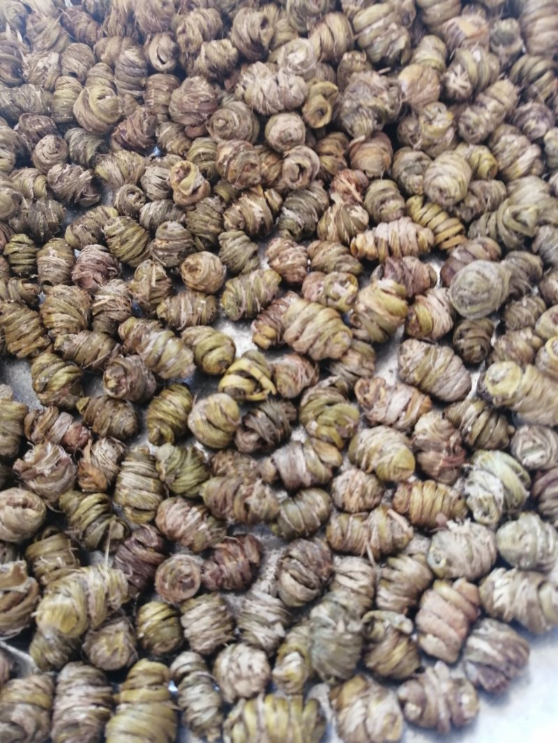 （金福堂紫皮石斛枫斗）.肉质饱满.一手货源.工厂批发