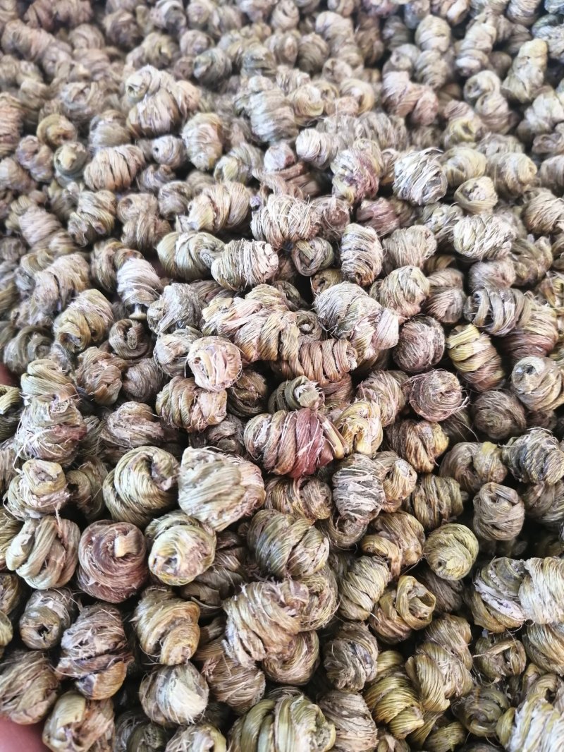 （金福堂紫皮石斛枫斗）.肉质饱满.一手货源.工厂批发