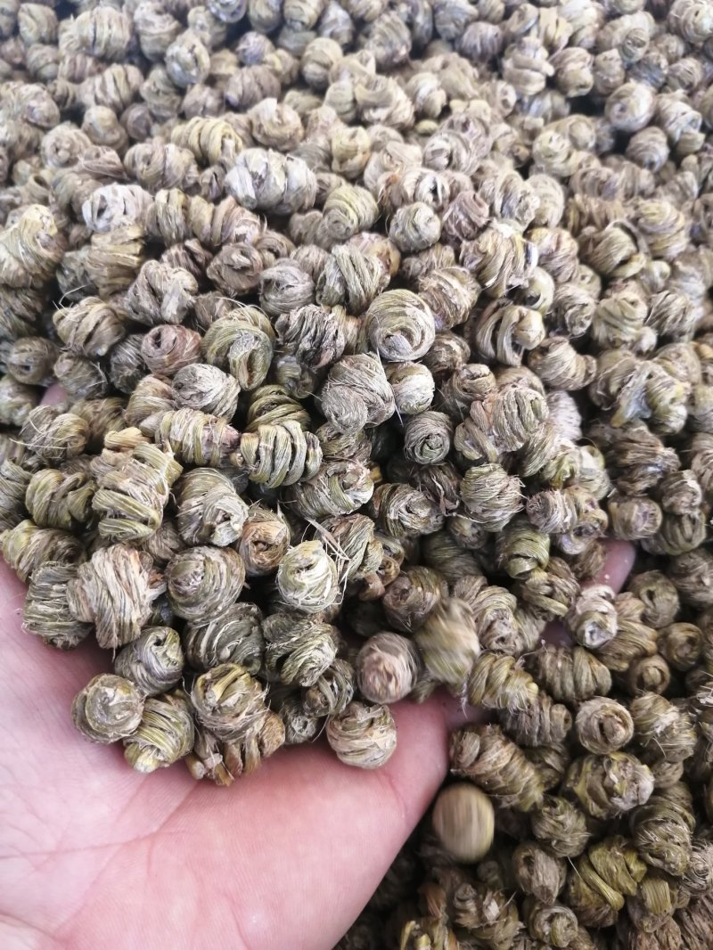 （金福堂紫皮石斛枫斗）.肉质饱满.一手货源.工厂批发