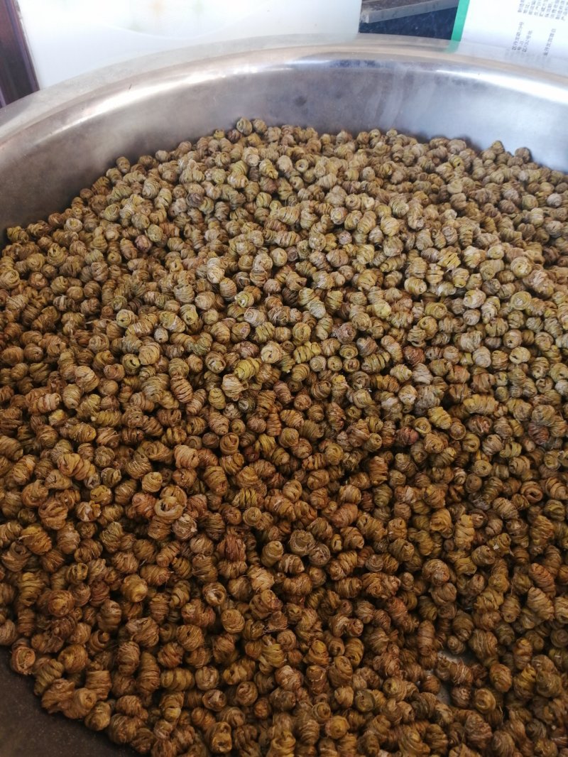 （金福堂紫皮石斛枫斗）.肉质饱满.一手货源.工厂批发