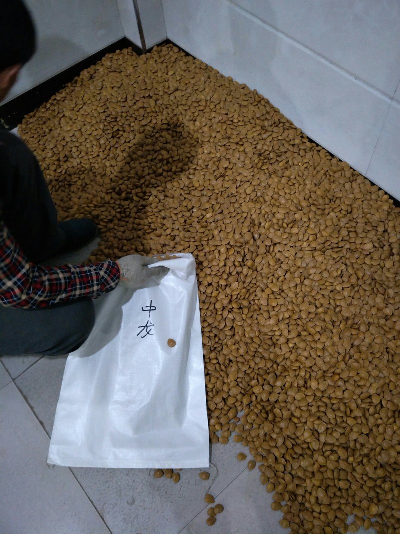 开口杏核金豆，原味，五香味，奶香味，椒盐味。