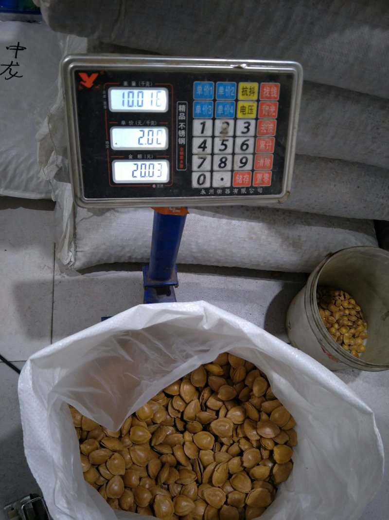 开口杏核金豆，原味，五香味，奶香味，椒盐味。