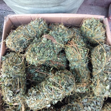 鸡骨草