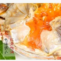 红膏炝蟹6-8两/只醉蟹红膏梭子蟹宁波海鲜特产海鲜腌制螃