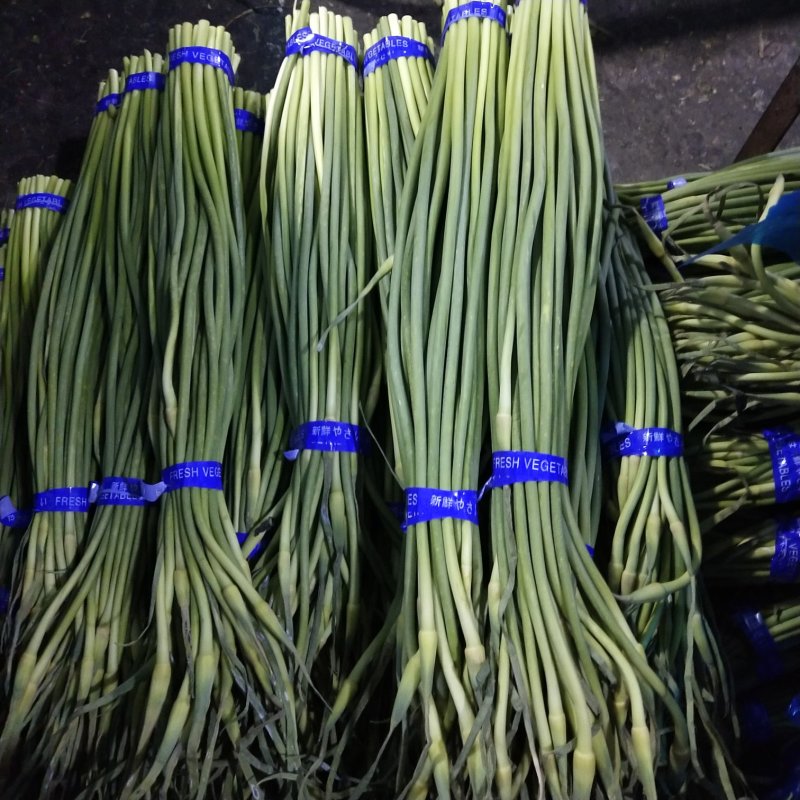 金乡优质红帽蒜薹大量上市！量大从优货发全国欢迎选购！