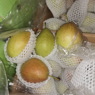 红香酥颜色漂亮河北产地大量库存【冷库/鲜货】