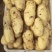 【实力推荐】荷兰十五土豆一手货源品质保障可视频看货