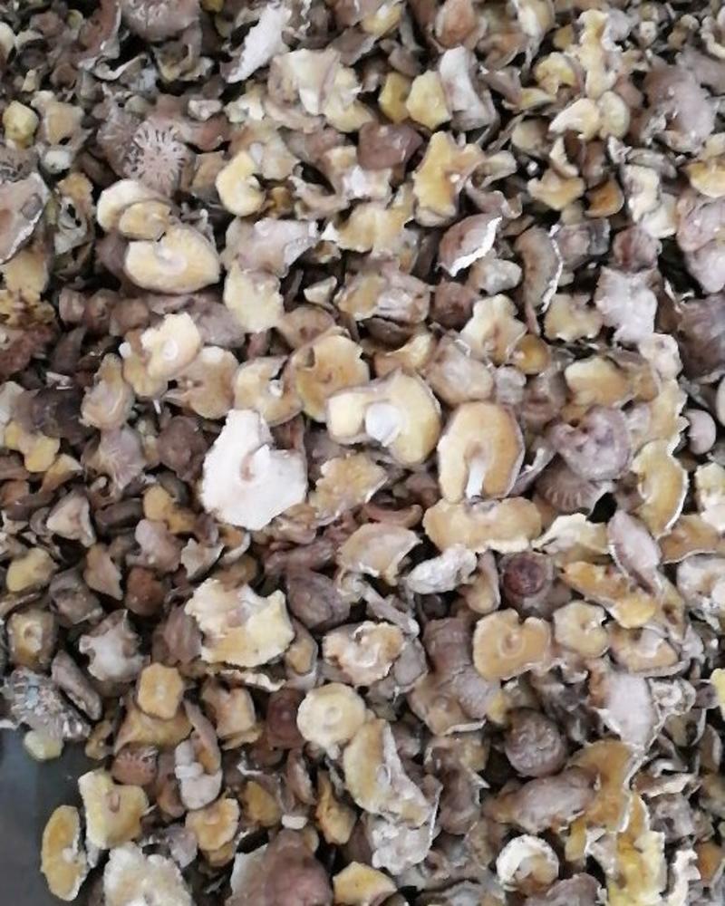香菇干量大优惠开伞菇菜菇烘干香菇