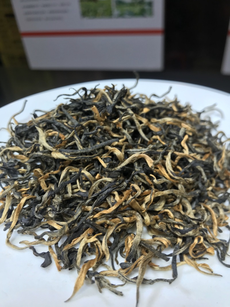 英红九号英德红茶批发茶园茶厂直销