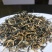 英红九号英德红茶批发茶园茶厂直销