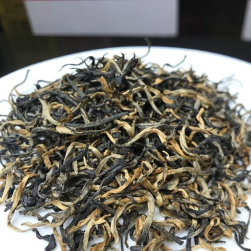 英红九号英德红茶批发茶园茶厂直销