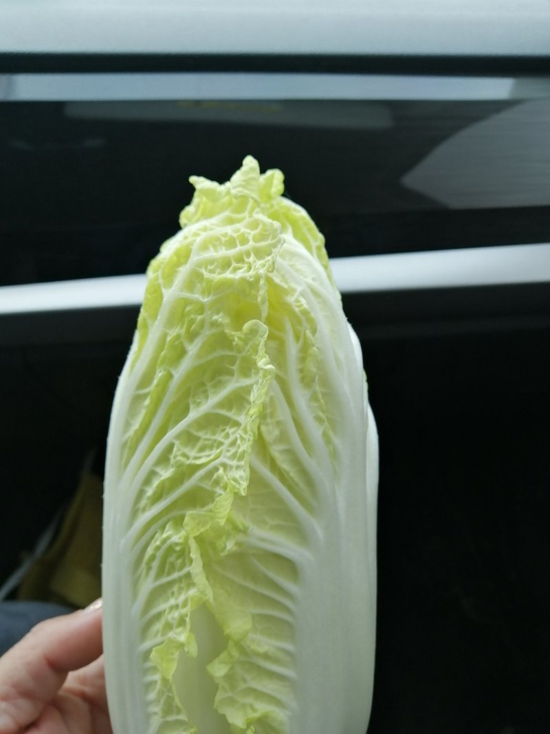 娃娃菜