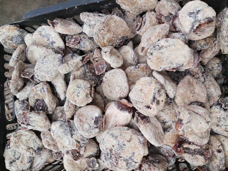 牛心柿饼