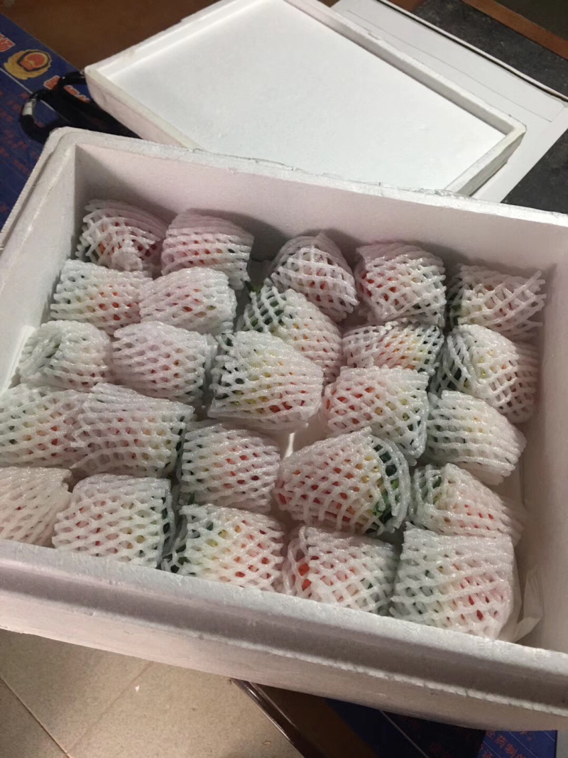 奶油草莓需要可以联系我量大从优，批发零售