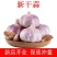 大蒜，金乡大蒜紫红皮，产地直销，量大从优