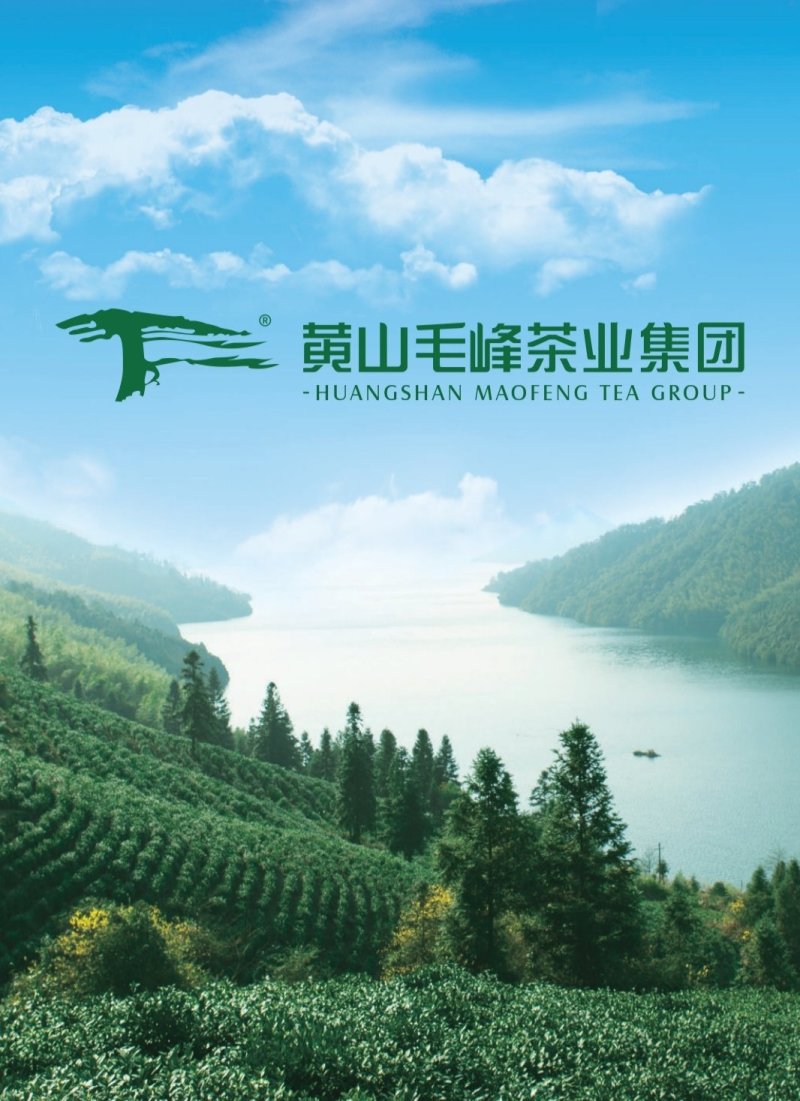 黄山红茶特级祁门红茶黄山红礼盒150g
