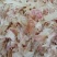 批发白色大蒜皮蒜皮压块适合牛羊养殖饲料适口性强蒜内外
