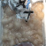 原浆扇贝丁，450g/包，30包/箱