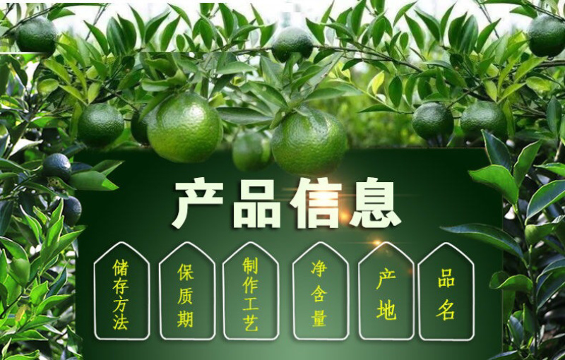 正宗新会小青柑普洱茶陈皮普洱茶五年宫廷熟茶柑普茶