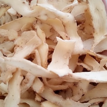 玉竹片,各种规格有硫无硫,诚信经营,量大从优!