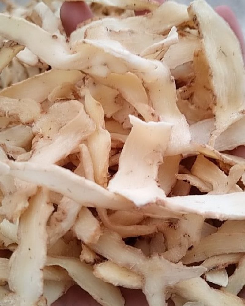玉竹片，各种规格有硫无硫，诚信经营，量大从优！