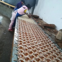 土法红糖