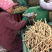 【包邮】甘肃岷县黄芪片指甲片斜片无硫新货批发零售