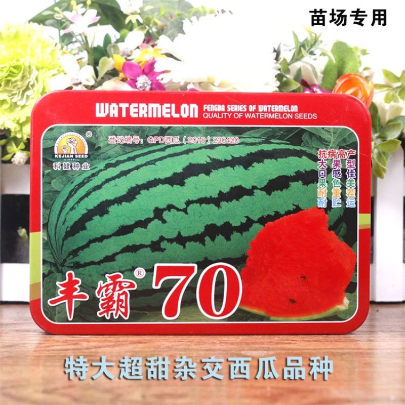 高品质西瓜种子丰霸70少籽超甜沙瓤红心花皮特大水果春季