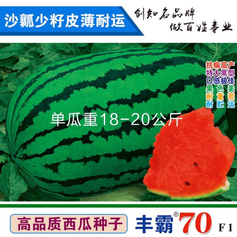 高品质西瓜种子丰霸70少籽超甜沙瓤红心花皮特大水果春季
