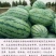 高品质西瓜种子丰霸70少籽超甜沙瓤红心花皮特大水果春季