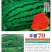 高品质西瓜种子丰霸70少籽超甜沙瓤红心花皮特大水果春季