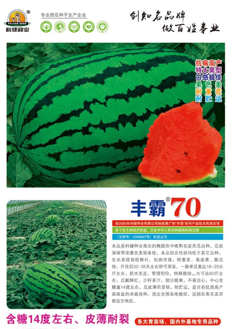 高品质西瓜种子丰霸70少籽超甜沙瓤红心花皮特大水果春季