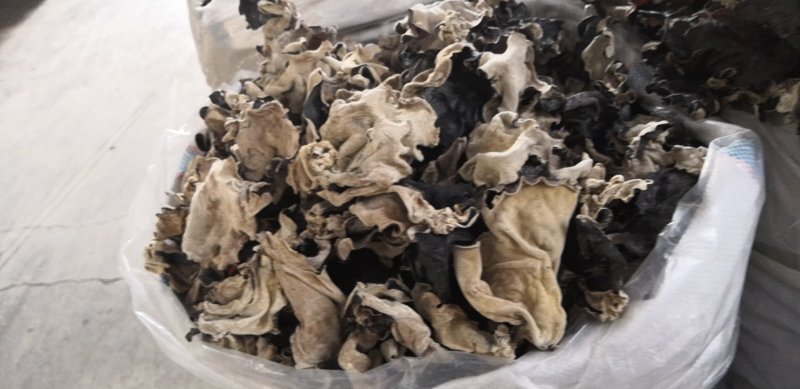 毛木耳水木耳黑木耳头荘批发直销