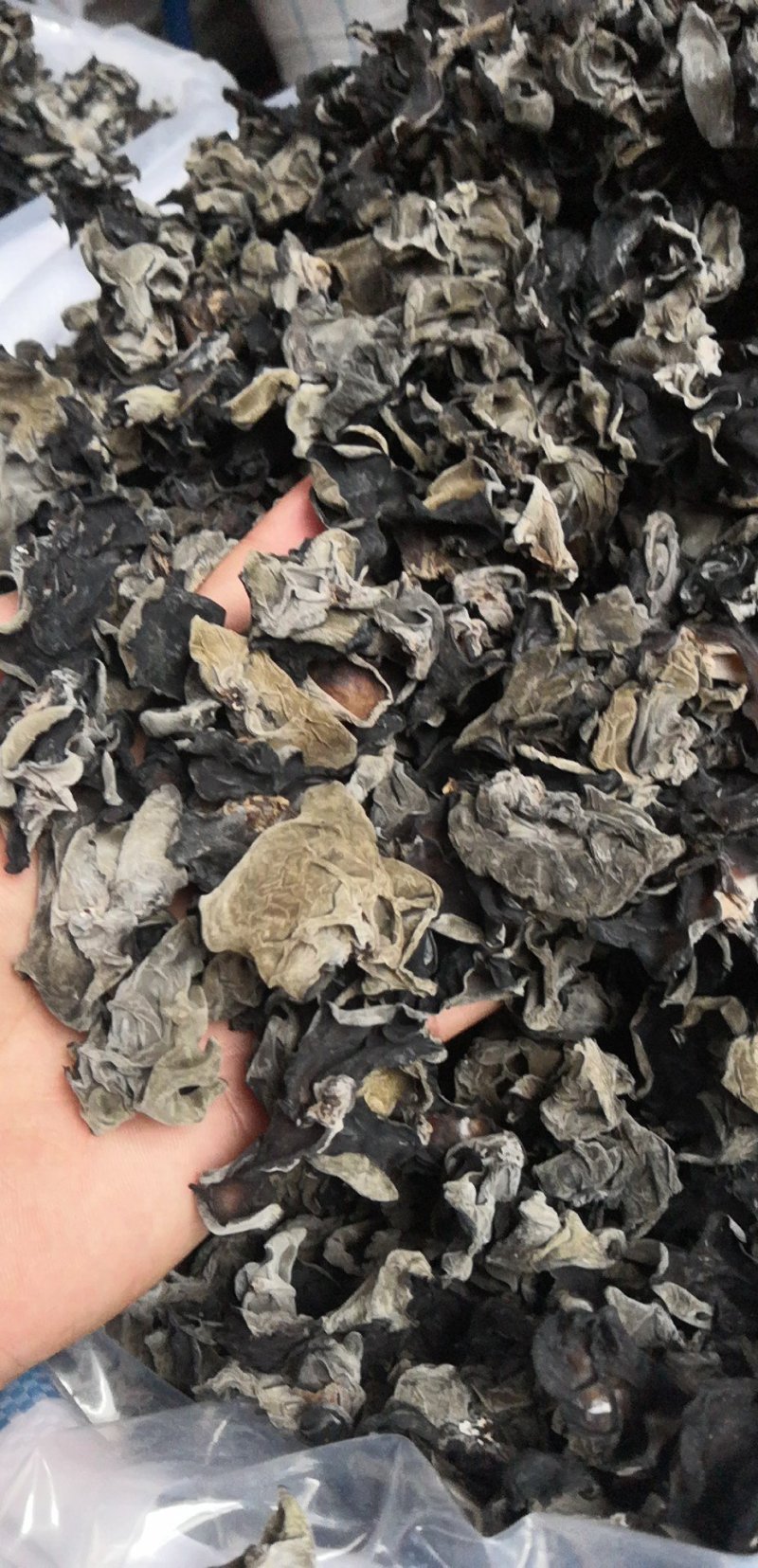 东北黑木耳细木耳炒菜木耳小片中小片中片