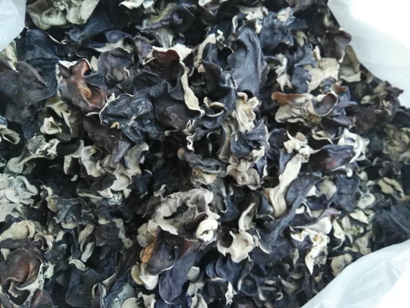 洗水木耳黑木耳毛木耳地摊畅销木耳