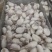 北部湾墨鱼仔加工冻品