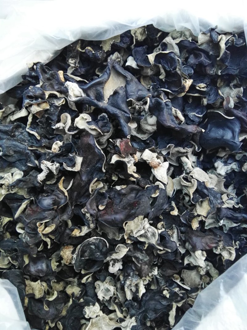 5斤包邮拿样黑木耳洗水木耳毛木耳
