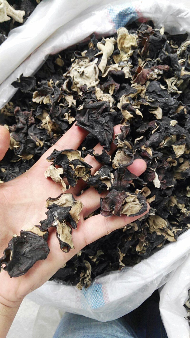 5斤包邮拿样黑木耳洗水木耳毛木耳