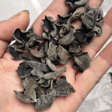 东北黑木耳黑山光板细木耳小片中小片