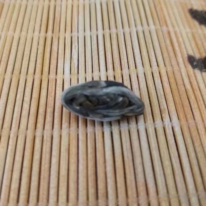 茉莉花茶凤眼茶浓香型特级凤眼口感好耐泡广西横州市发货