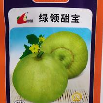 日本甜宝甜瓜种子果实球形浅绿色果肉甜脆香浓
