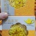 修水金丝皇菊