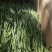 云南精品贡菜一级菜长期有货无色素******手工制作
