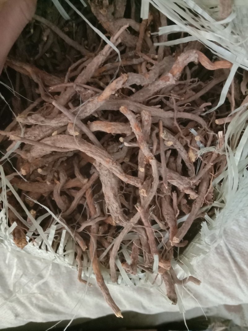 陕西商洛地产，黄芩统货，全干，无杂质