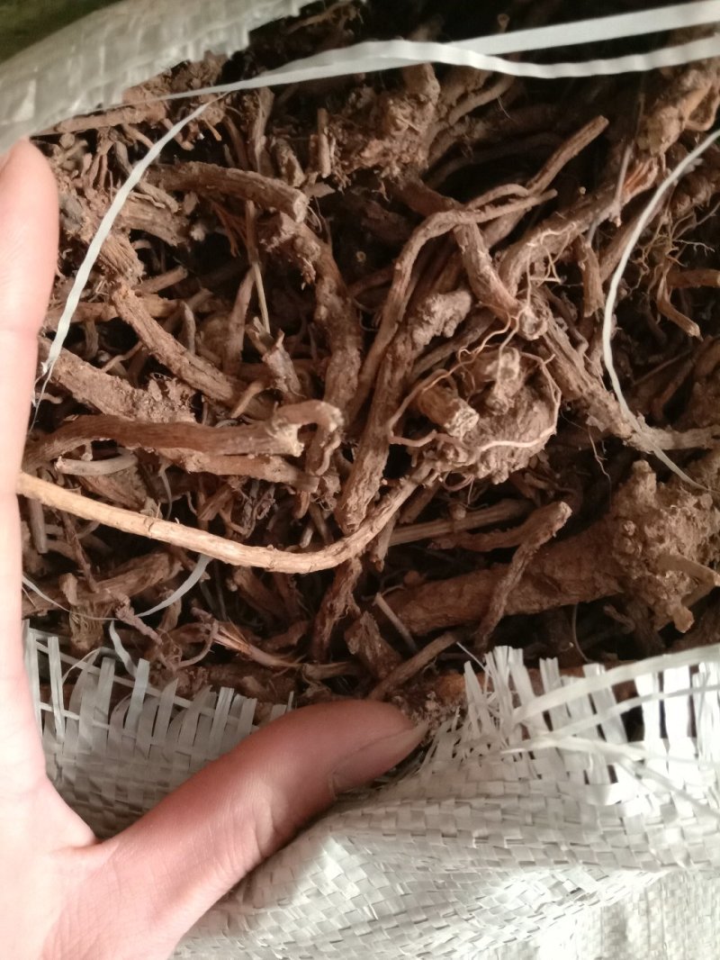 陕西商洛地产，黄芩统货，全干，无杂质